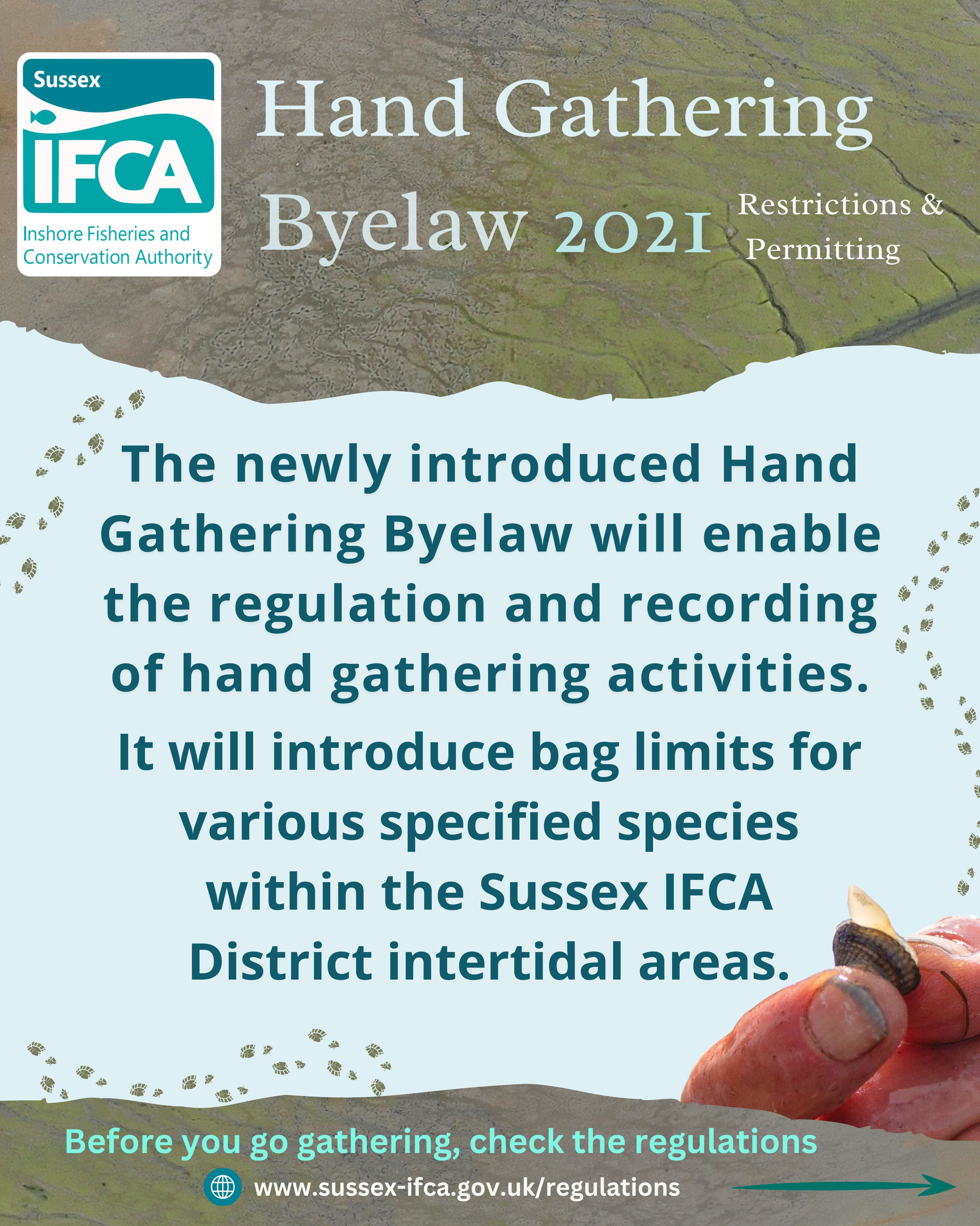Sussex IFCA Hand Gathering